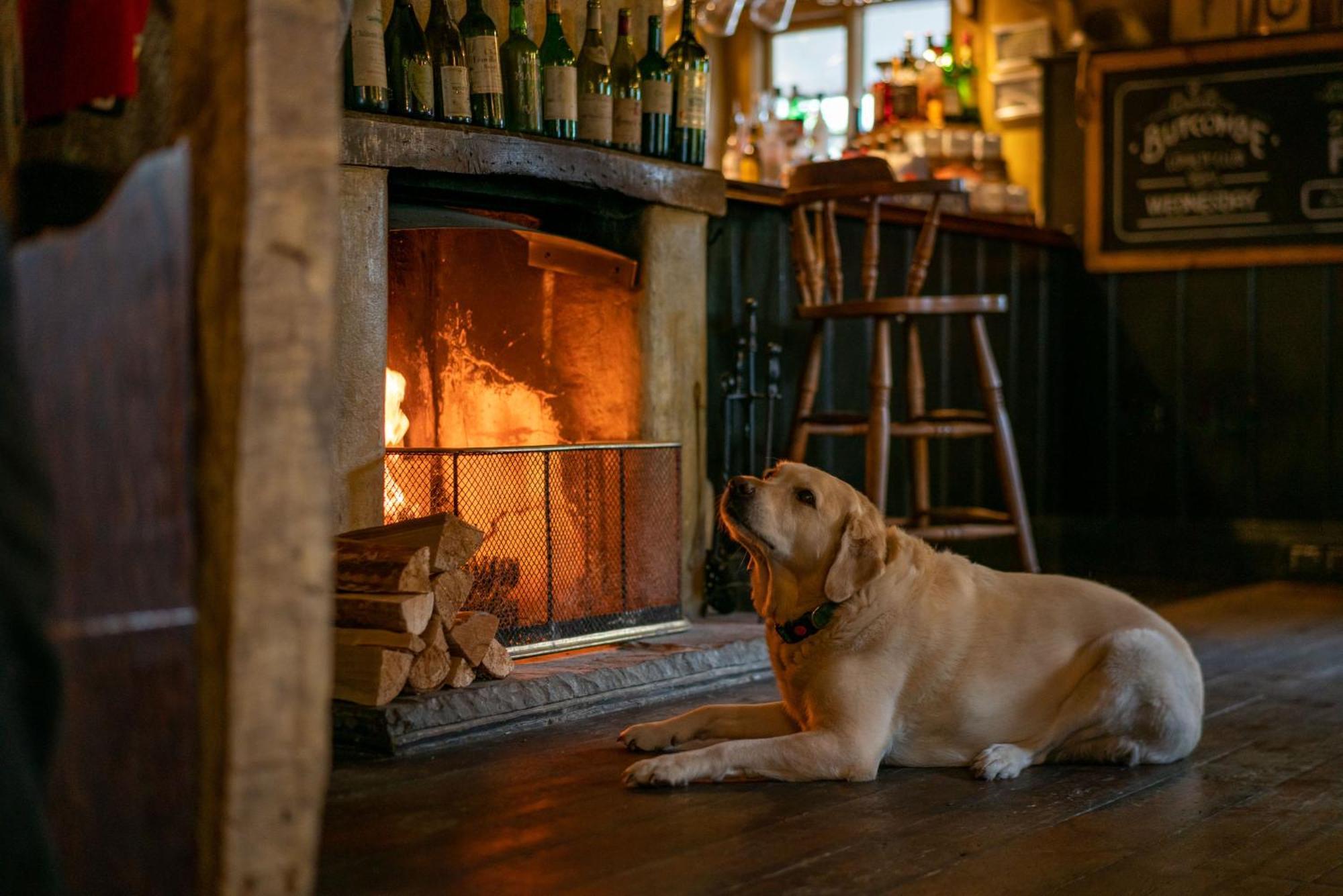 The Anchor Inn Lower Froyle Εξωτερικό φωτογραφία