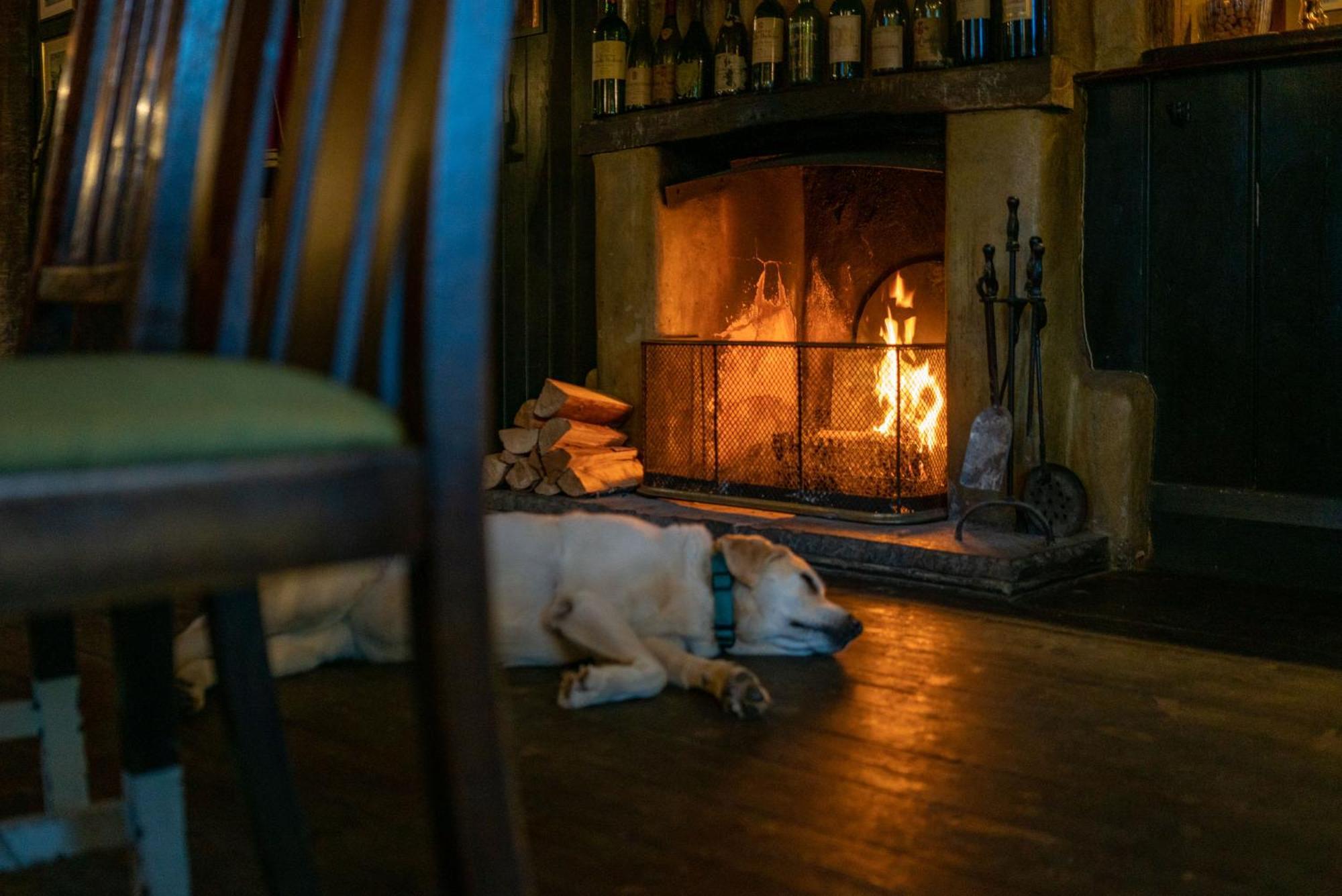 The Anchor Inn Lower Froyle Εξωτερικό φωτογραφία